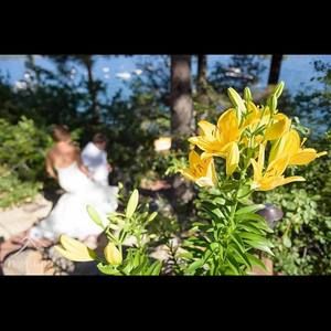 Meet your Posher, Aura